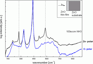 Raman shift of ZnO thin films grown on oxygen-polar and zinc-polar ZnO single crystals