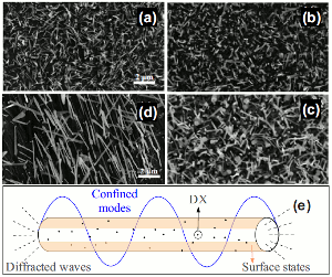 FESEM images of ZnO nanowires with different diameter.